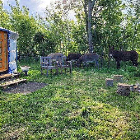 Hotel Slapen Tussen De Ezels In De Yurt Aarschot Zewnętrze zdjęcie