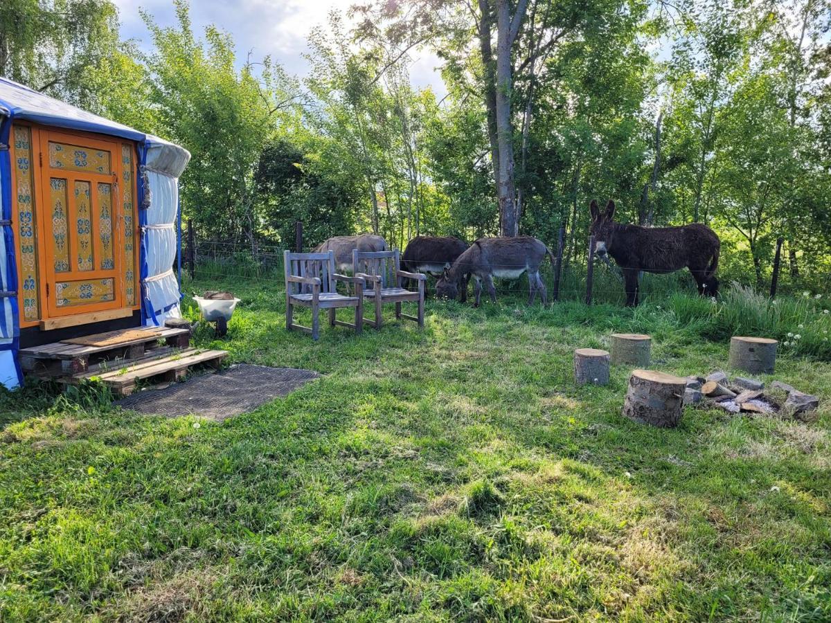 Hotel Slapen Tussen De Ezels In De Yurt Aarschot Zewnętrze zdjęcie