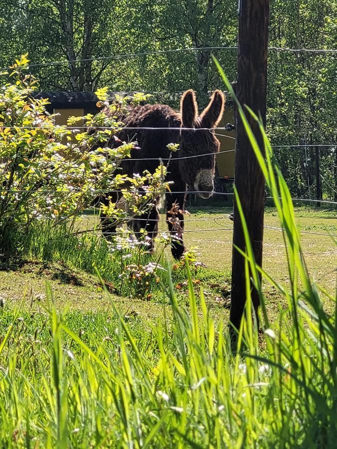 Hotel Slapen Tussen De Ezels In De Yurt Aarschot Zewnętrze zdjęcie