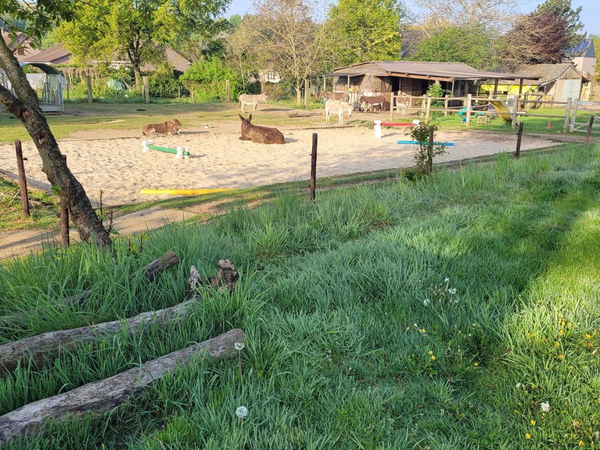 Hotel Slapen Tussen De Ezels In De Yurt Aarschot Zewnętrze zdjęcie