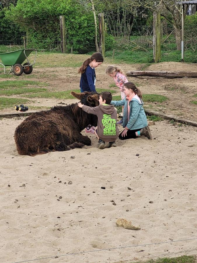 Hotel Slapen Tussen De Ezels In De Yurt Aarschot Zewnętrze zdjęcie